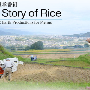 Thumbnail of post image 093