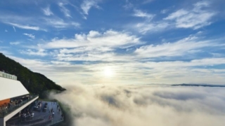 Thumbnail of post image 155
