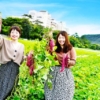 Thumbnail of new posts 099
