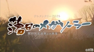 Thumbnail of post image 050