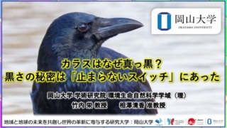 Thumbnail of post image 061