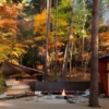 Thumbnail of new posts 077