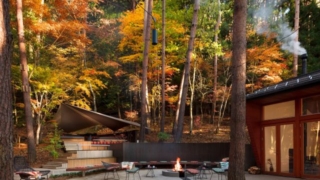Thumbnail of post image 125